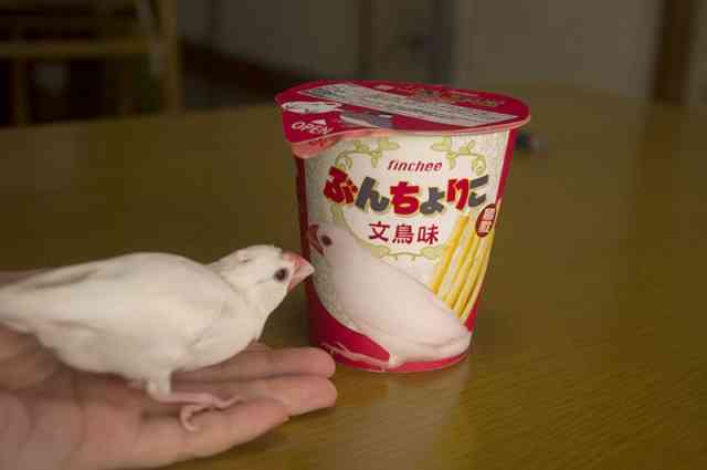 鳥の画像を貼っていくトピ