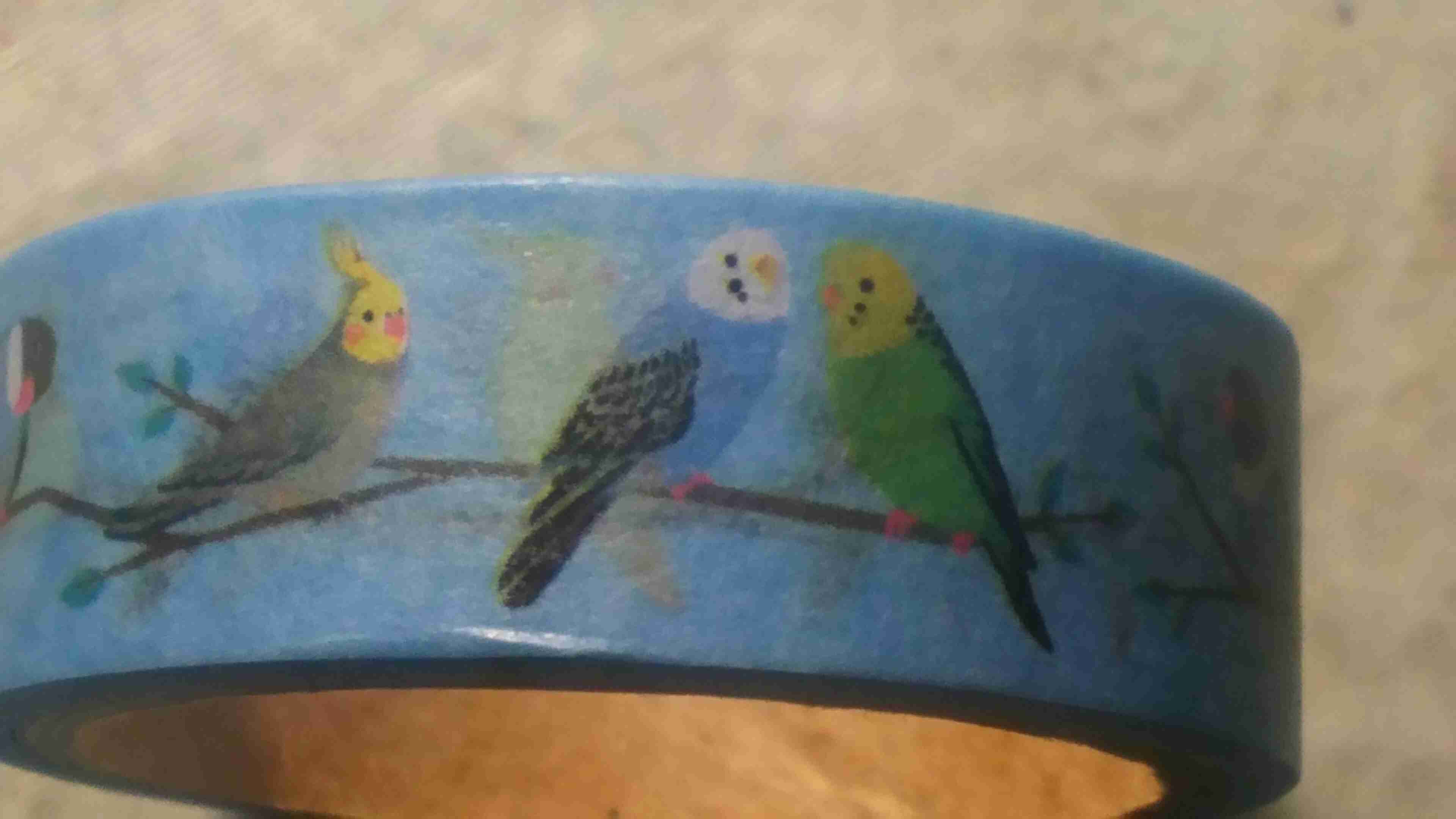 鳥の画像を貼っていくトピ