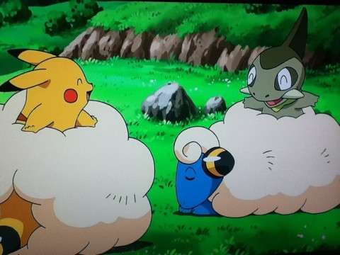 もこもこな画像が集まるトピ