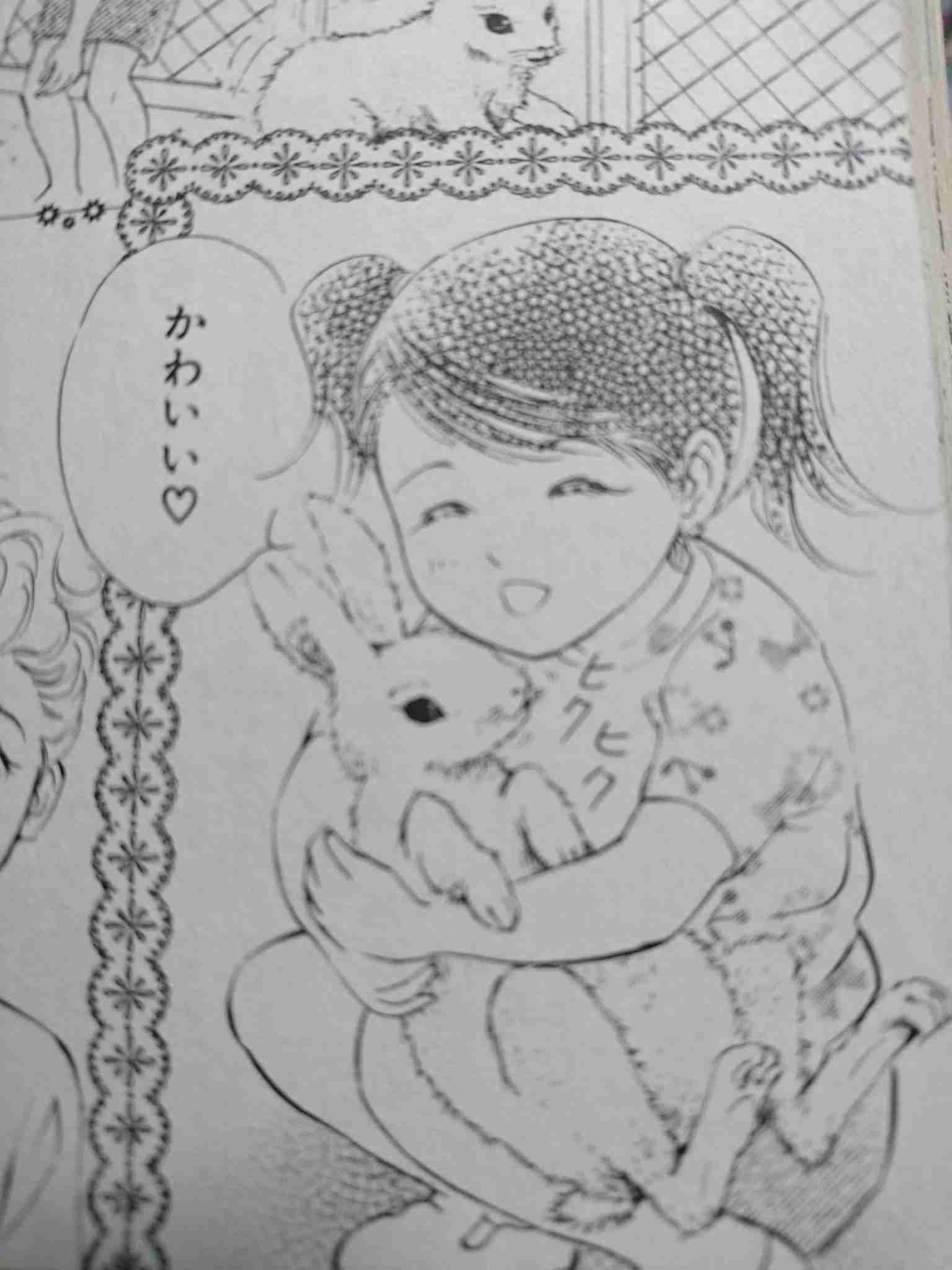 身近なものの写真を可愛く加工して、無理矢理SNS映えさせるトピ