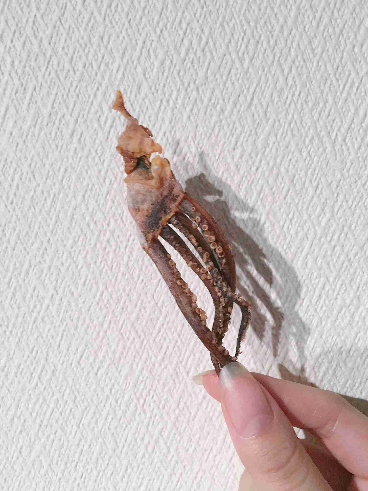 身近なものの写真を可愛く加工して、無理矢理SNS映えさせるトピ