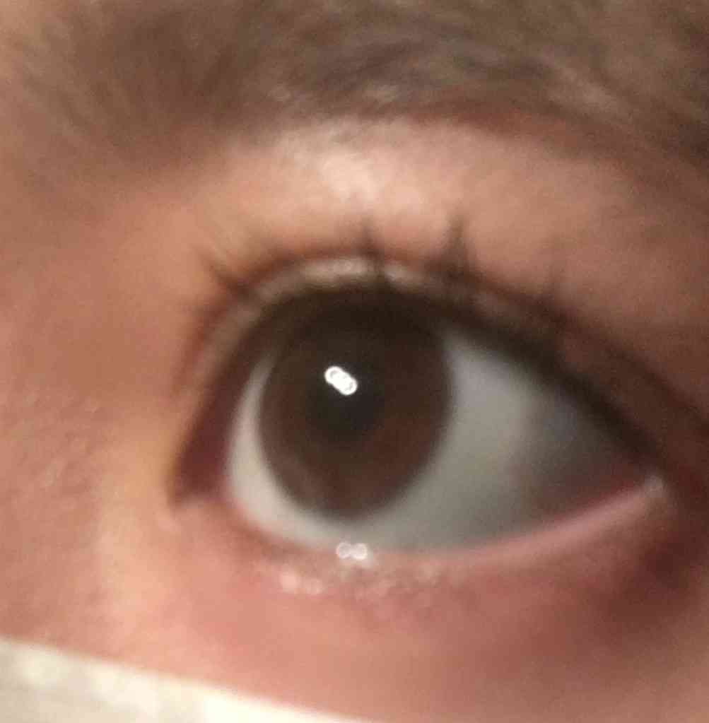 身近なものの写真を可愛く加工して、無理矢理SNS映えさせるトピ