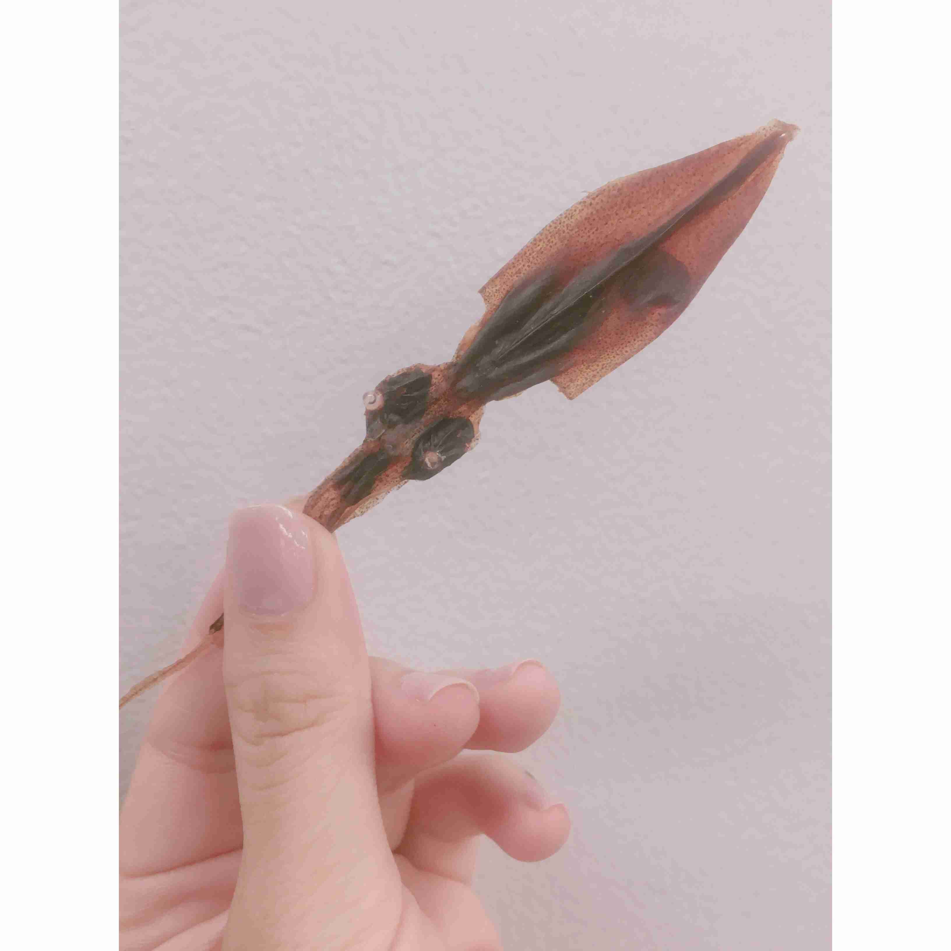 身近なものの写真を可愛く加工して、無理矢理SNS映えさせるトピ