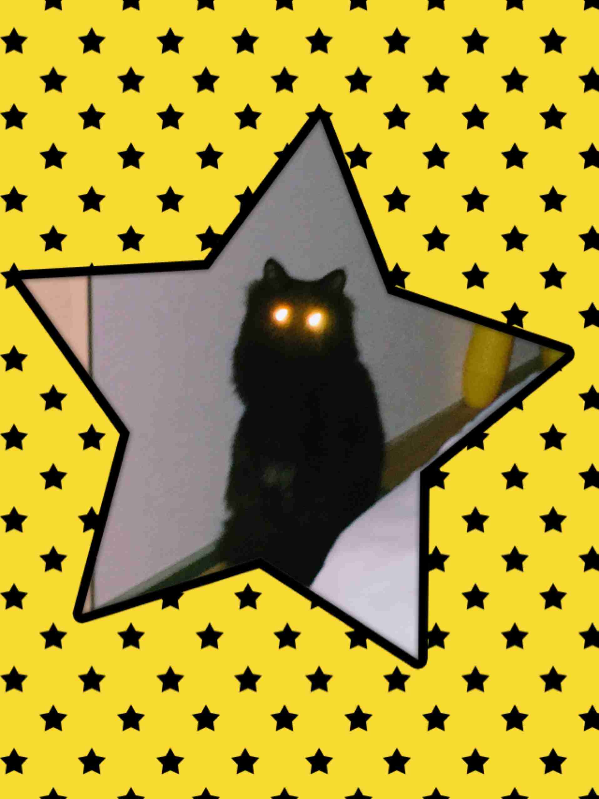 身近なものの写真を可愛く加工して、無理矢理SNS映えさせるトピ