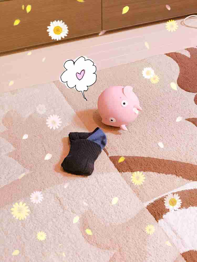 身近なものの写真を可愛く加工して、無理矢理SNS映えさせるトピ