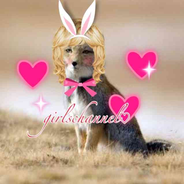 身近なものの写真を可愛く加工して、無理矢理SNS映えさせるトピ