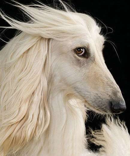 サラサラヘアーのイケメンの画像を貼っていくトピ