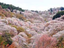絶景のおすすめ【日本編】