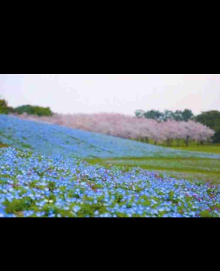 絶景のおすすめ【日本編】