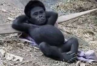 今年の大晦日もダウンタウン！？「ガキの使いやあらへんで！」のロケバス目撃情報が相次ぐ