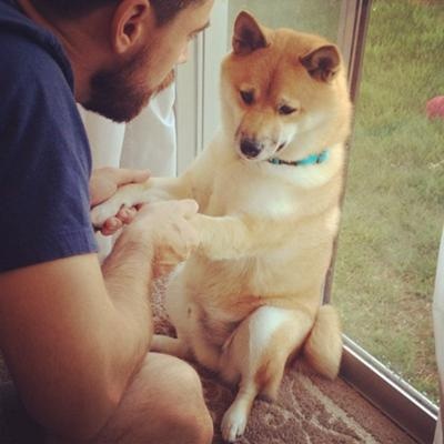【犬・猫】ペットがいたずらしちゃった画像が見たい【動物・かわいい】