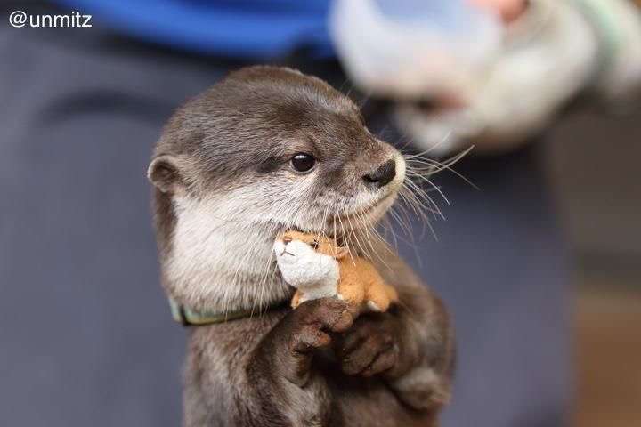 “クロロ”HYDE、神戸に光臨！ファン興奮のVAMPSアリーナ公演初日