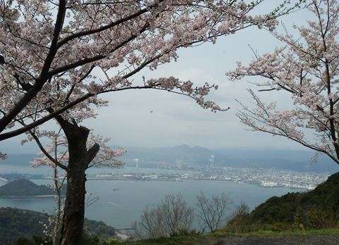 美しい日本語と写真を楽しむトピ