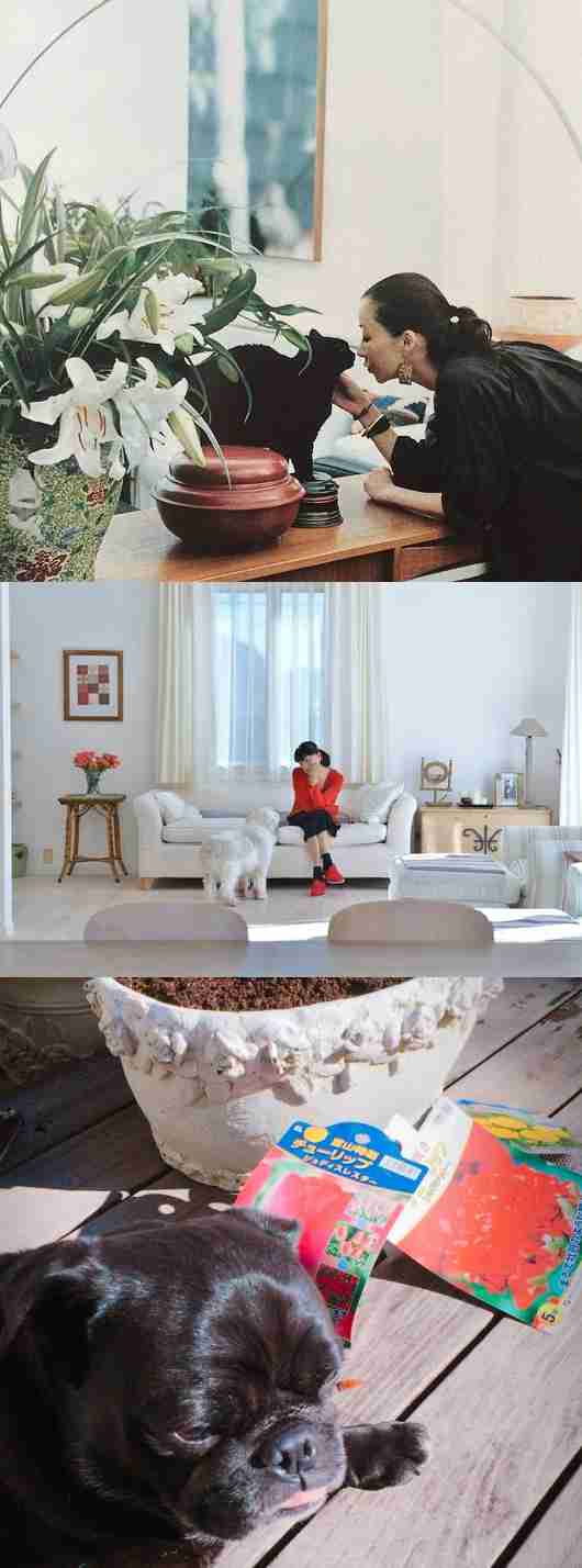 工藤静香「夫の仕事のため」紅白出場へ猛アピール