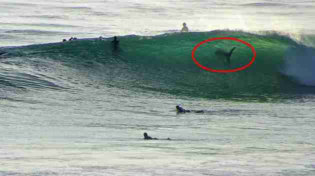 工藤静香「夫の仕事のため」紅白出場へ猛アピール