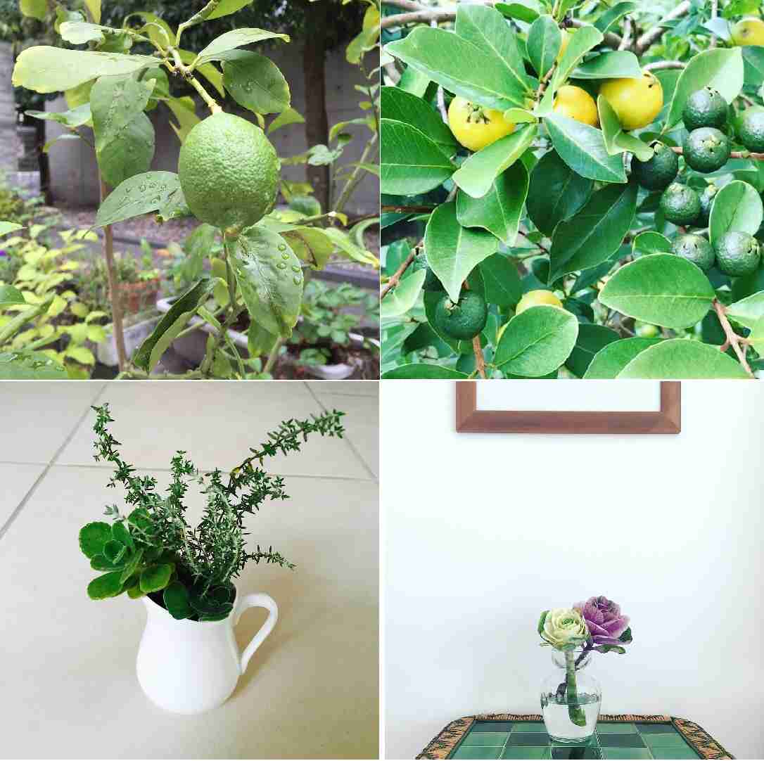 工藤静香「夫の仕事のため」紅白出場へ猛アピール