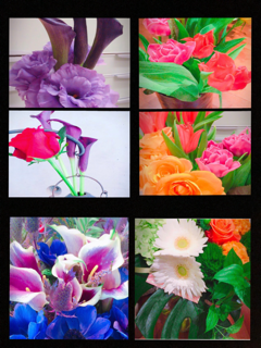 工藤静香「夫の仕事のため」紅白出場へ猛アピール