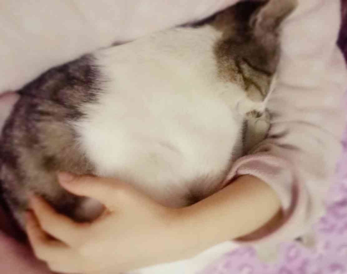 ペットの変なクセ教えて!