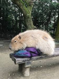 [実況・感想]    陸王   第6話