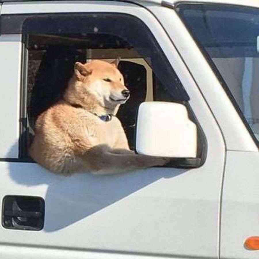 [実況・感想]    陸王   第6話