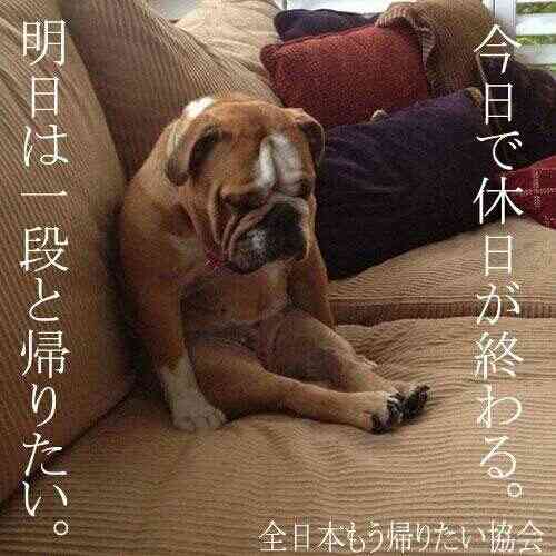 予定のない連休が辛い人