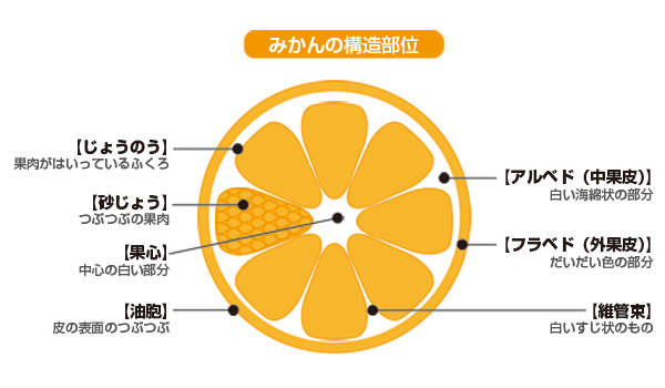 東大生の正答率0％　『瓤嚢』読めたら1箱10万円の超高級みかん当たる