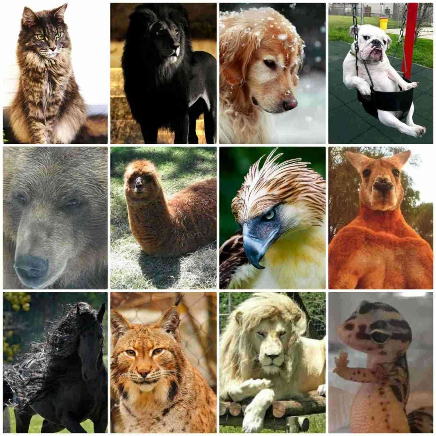 動物でホストクラブを作るトピPART3