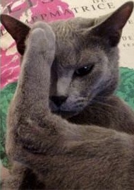 動物でホストクラブを作るトピPART3
