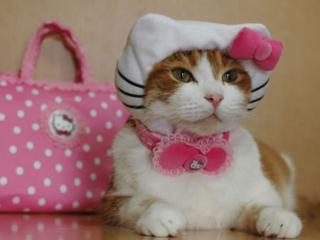 動物でホストクラブを作るトピPART3