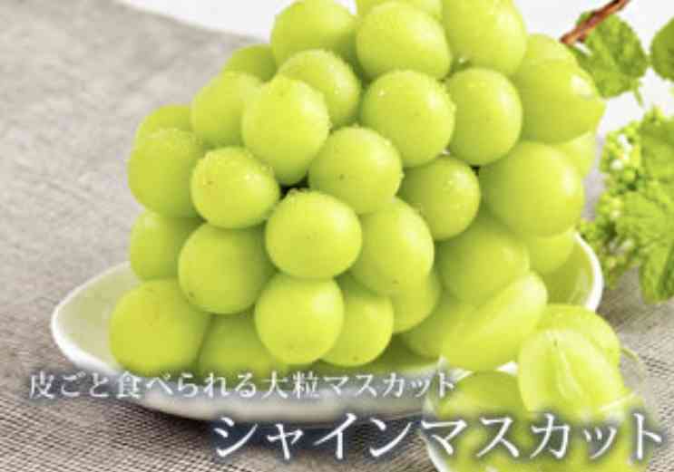 ガル民で持ち寄りパーティーしよう