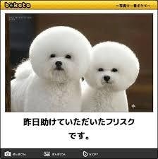 最近、不思議体験ありますか？