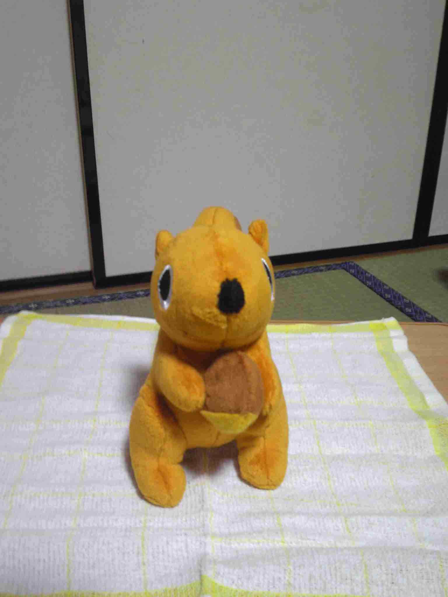 ぬいぐるみを抱いて寝る人！