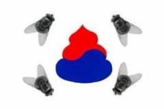 【実況・感想】アジアプロ野球チャンピオンシップ2017・決勝　日本×韓国