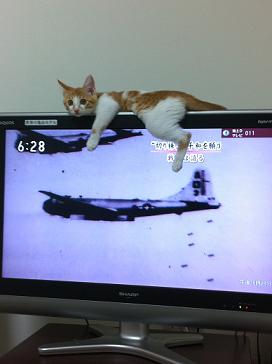 過去からタイムスリップして来た人に聞かれそうなこと