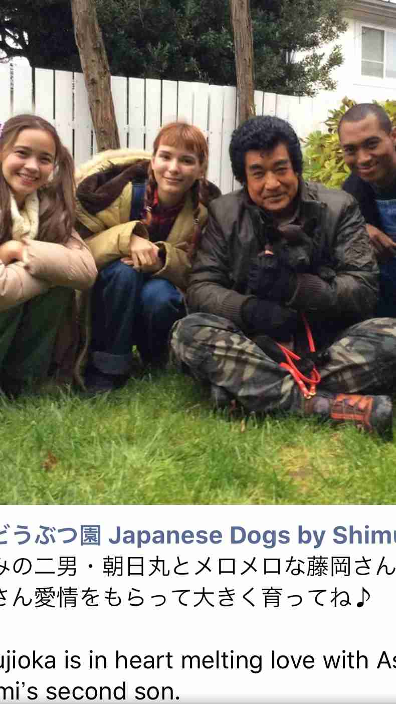楽しそうな犬の画像トピ