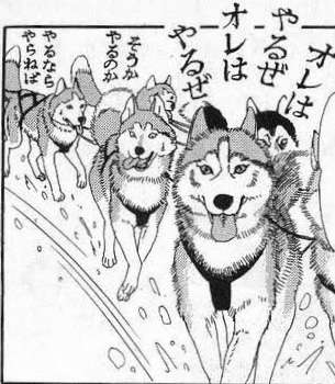 楽しそうな犬の画像トピ