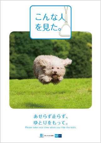 楽しそうな犬の画像トピ