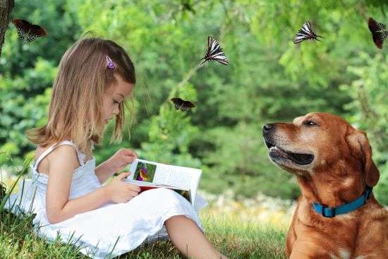 楽しそうな犬の画像トピ