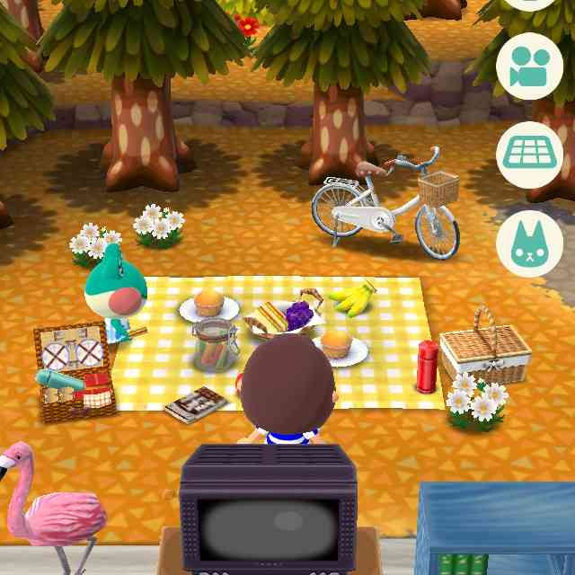 「どうぶつの森 ポケットキャンプ」始めた人！