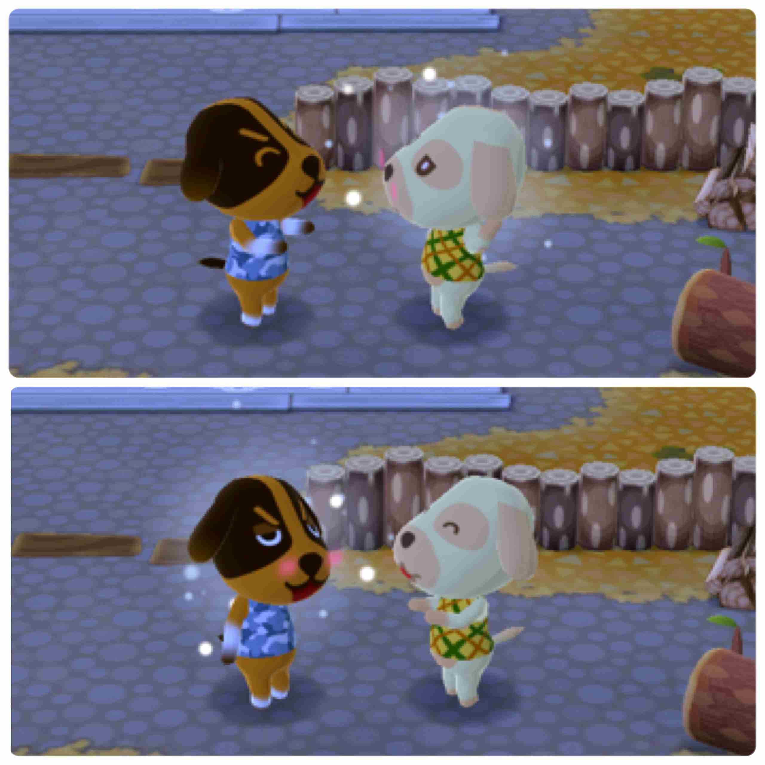 「どうぶつの森 ポケットキャンプ」始めた人！