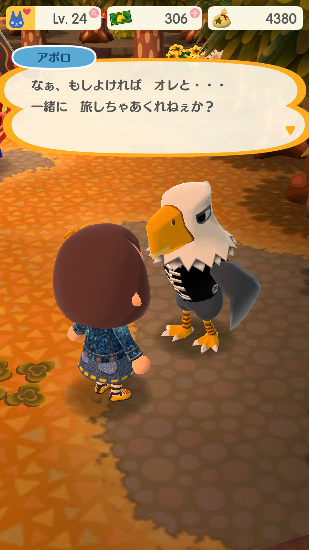 「どうぶつの森 ポケットキャンプ」始めた人！