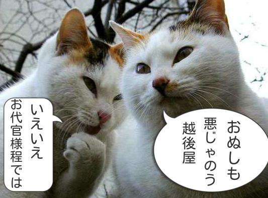 ガルちゃん猫カフェ21号店 開店しました♪ (初めての方も大歓迎！)