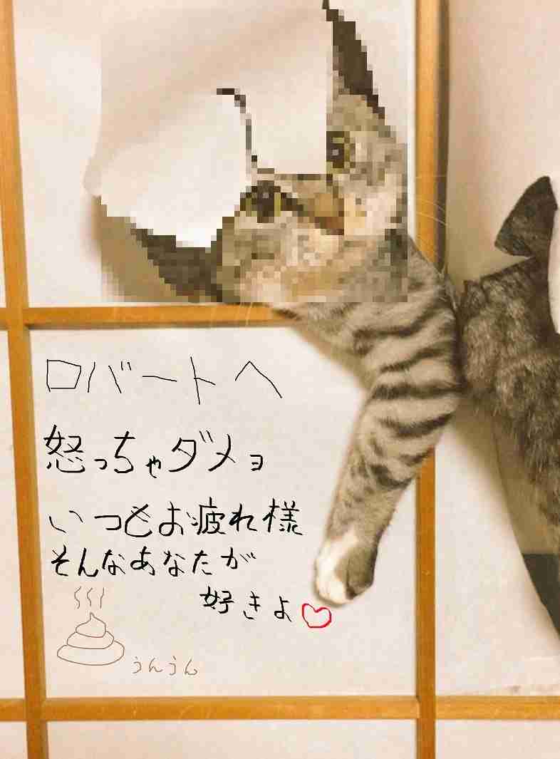 ガルちゃん猫カフェ21号店 開店しました♪ (初めての方も大歓迎!)