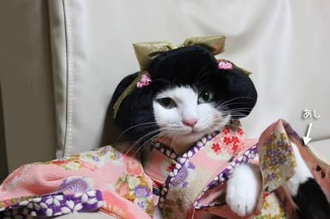 ガルちゃん猫カフェ21号店 開店しました♪ (初めての方も大歓迎！)