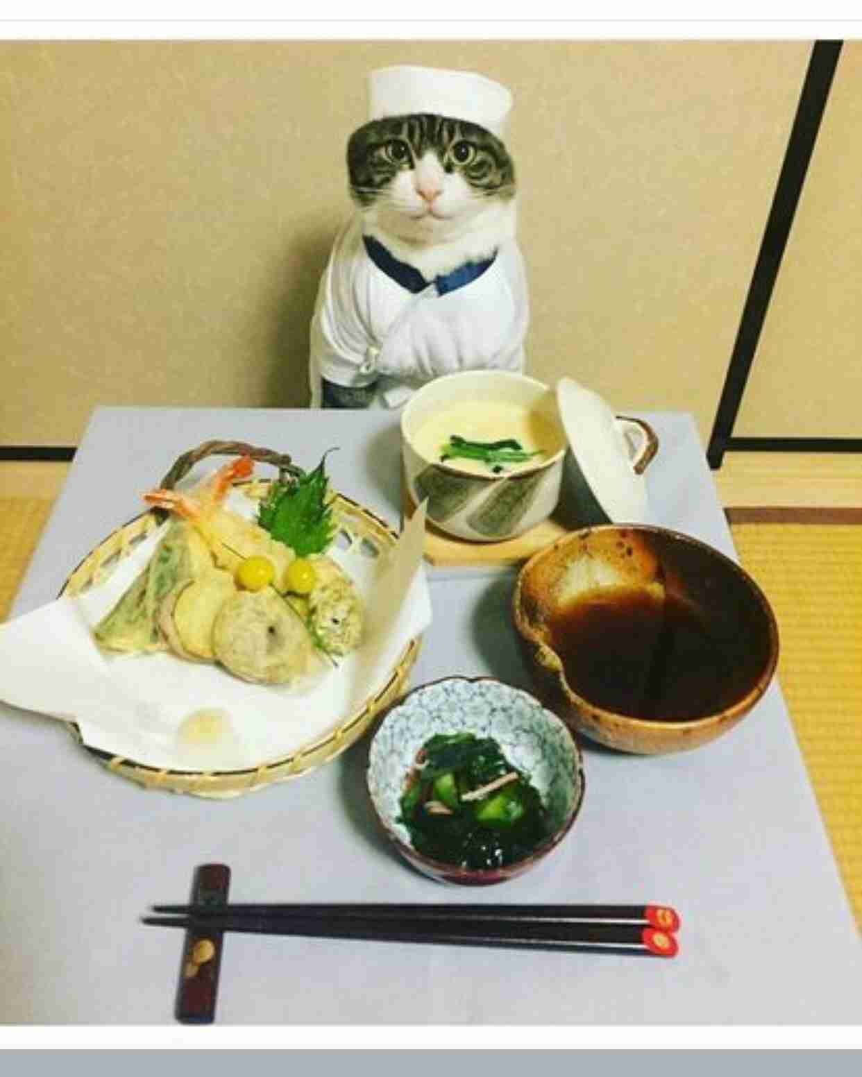 ガルちゃん猫カフェ21号店 開店しました♪ (初めての方も大歓迎!)