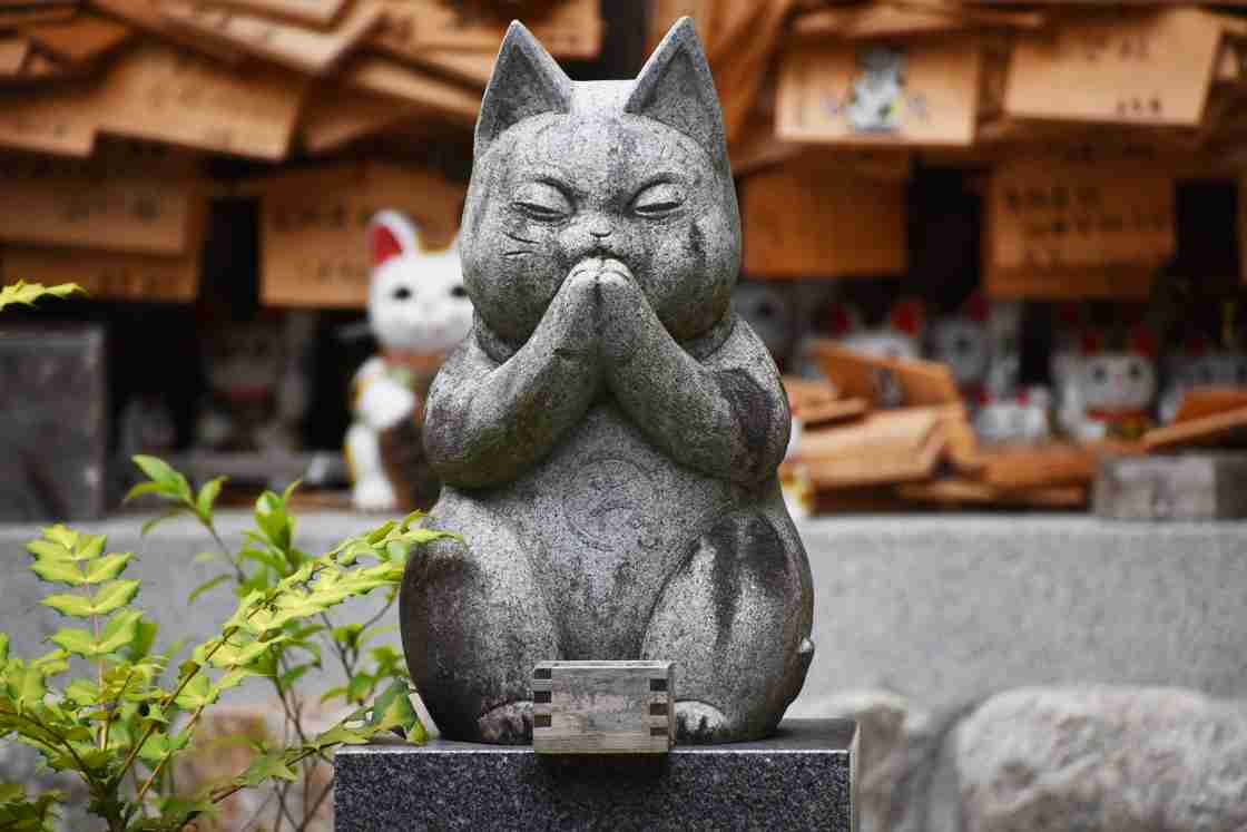 ガルちゃん猫カフェ21号店 開店しました♪ (初めての方も大歓迎！)