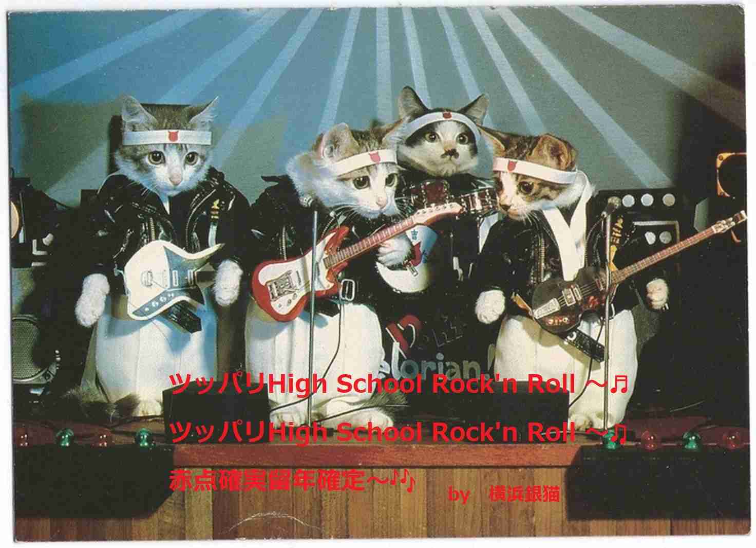 ガルちゃん猫カフェ21号店 開店しました♪ (初めての方も大歓迎!)