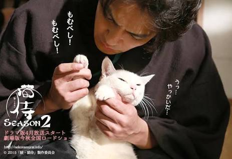 ガルちゃん猫カフェ21号店 開店しました♪ (初めての方も大歓迎！)