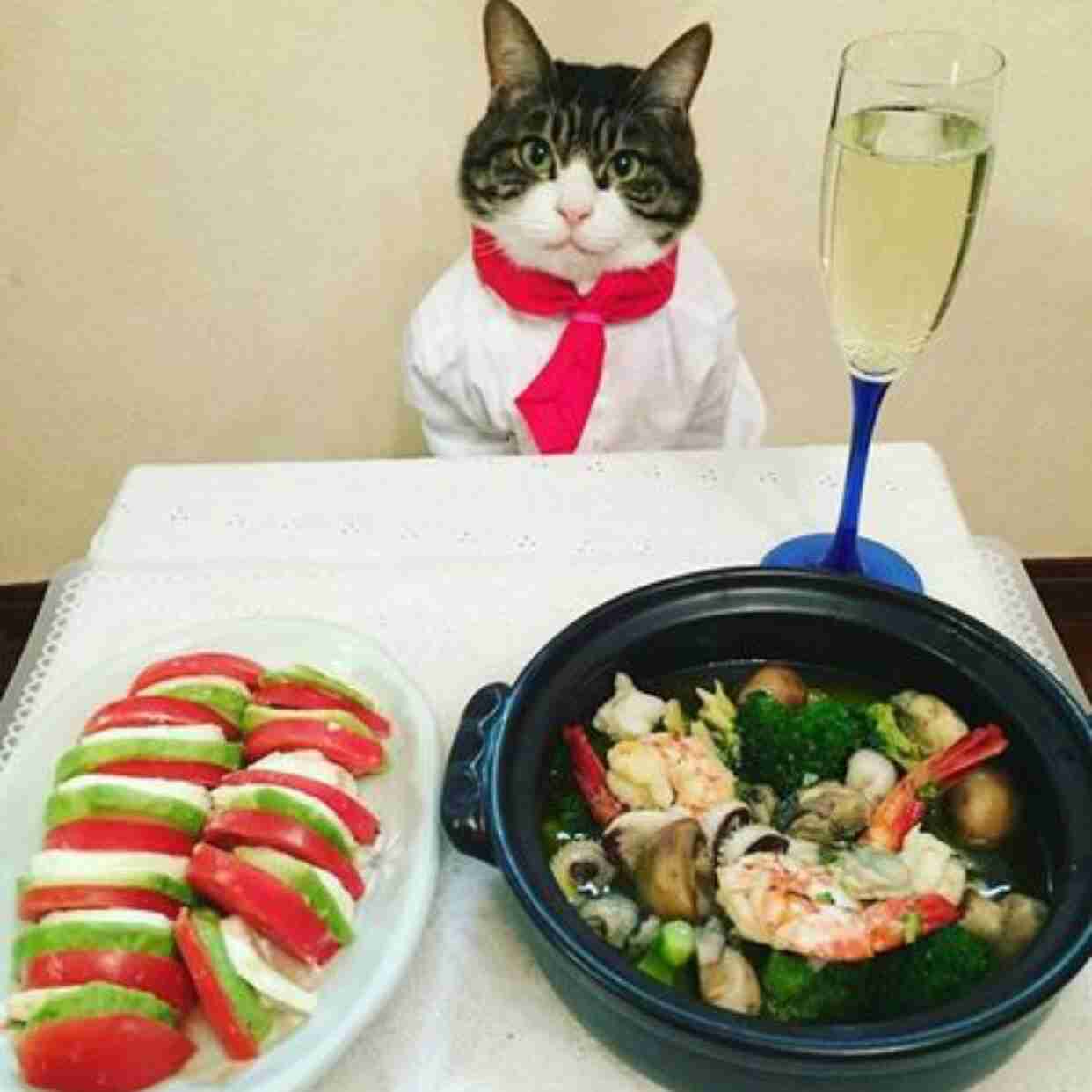 ガルちゃん猫カフェ21号店 開店しました♪ (初めての方も大歓迎!)