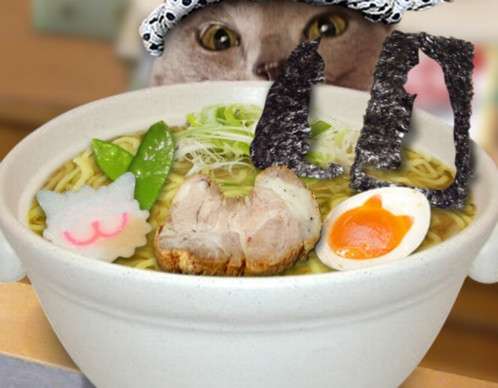 ガルちゃん猫カフェ21号店 開店しました♪ (初めての方も大歓迎!)